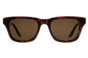 #color_Chestnut / Sequoia Polarized (AR)